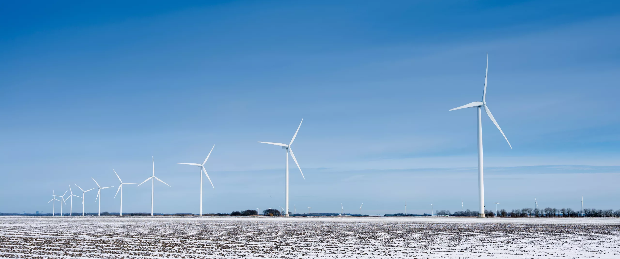 snow covered fields and wind turbines in dutch polder of flevoland under blue sky in winter