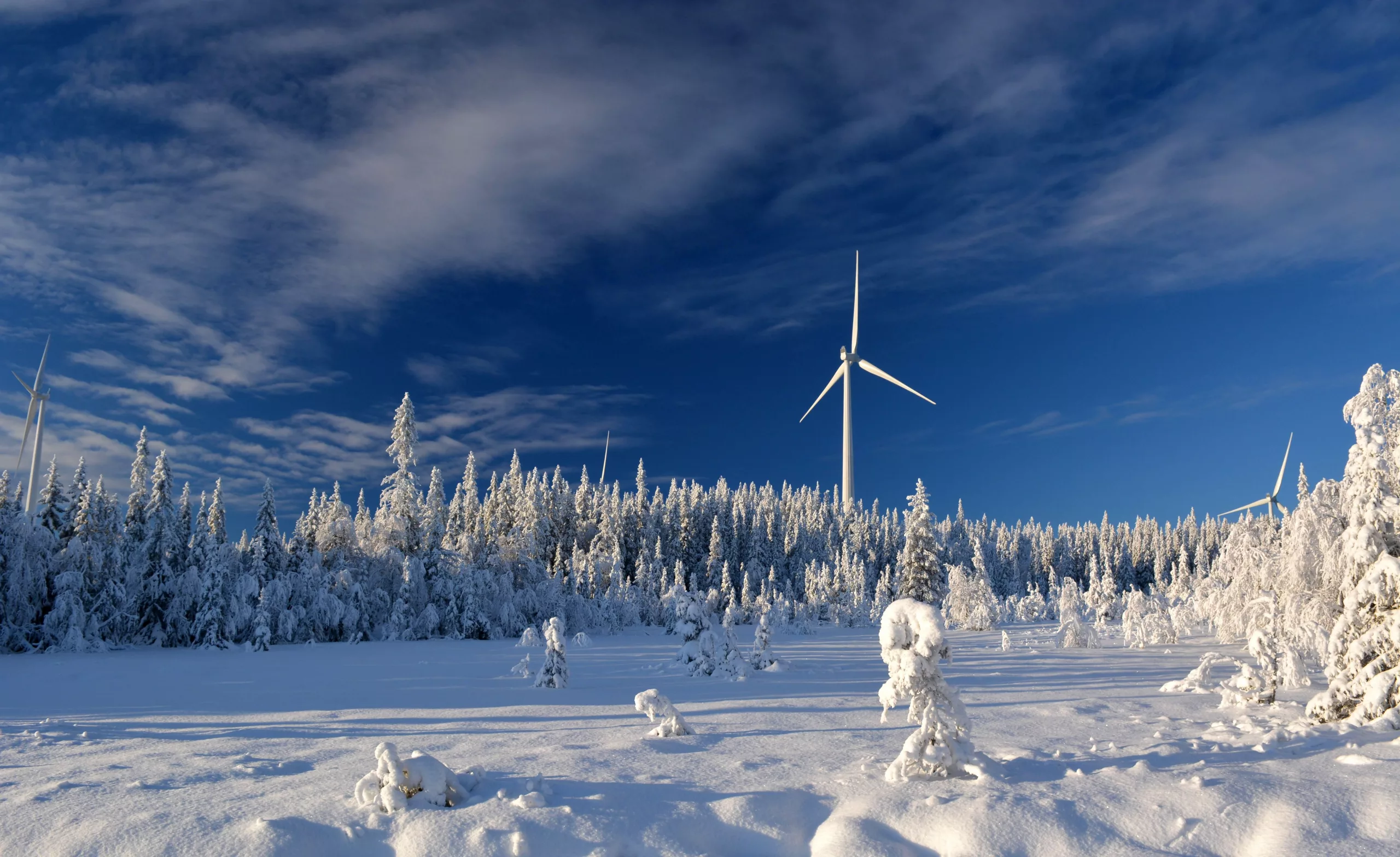 Wind turbine in a snowy forest under blue sky, 2