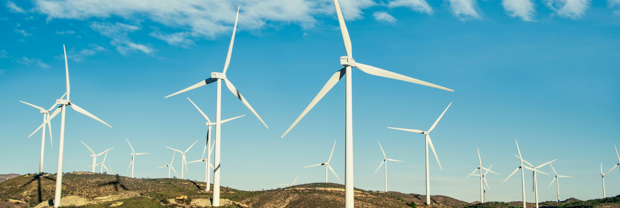 Wind farm full of wind turbines in the summer time, 1