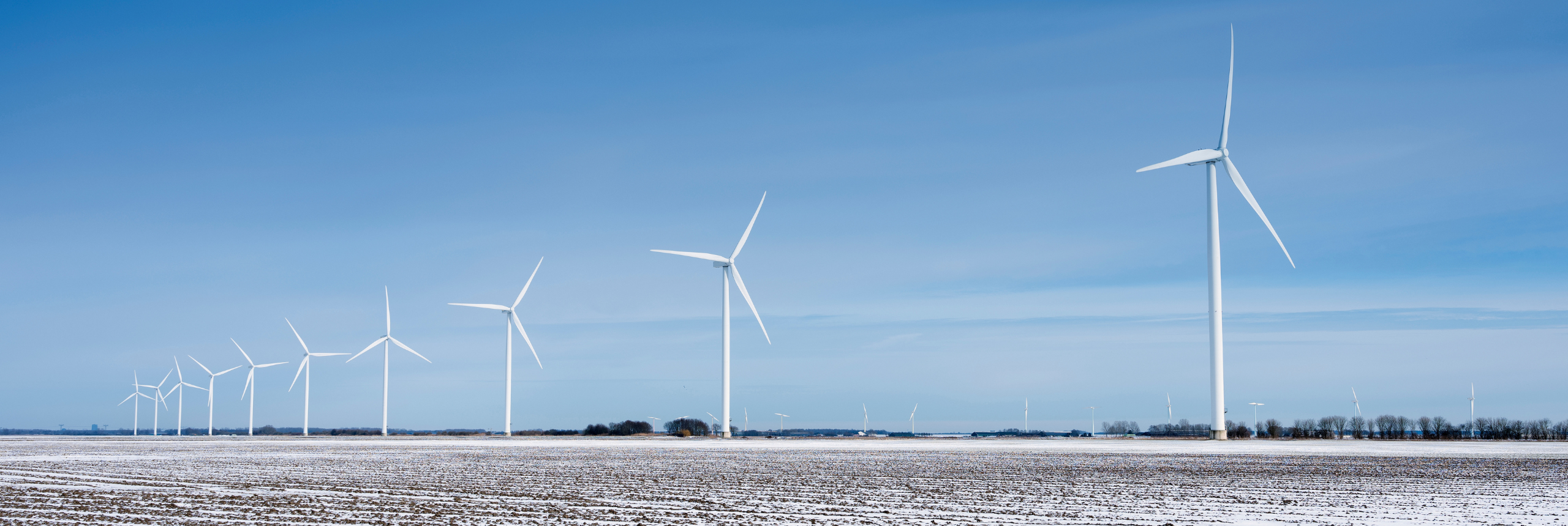 Field of wind turbines in the snow, 1