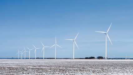 Field of wind turbines in the snow, 2