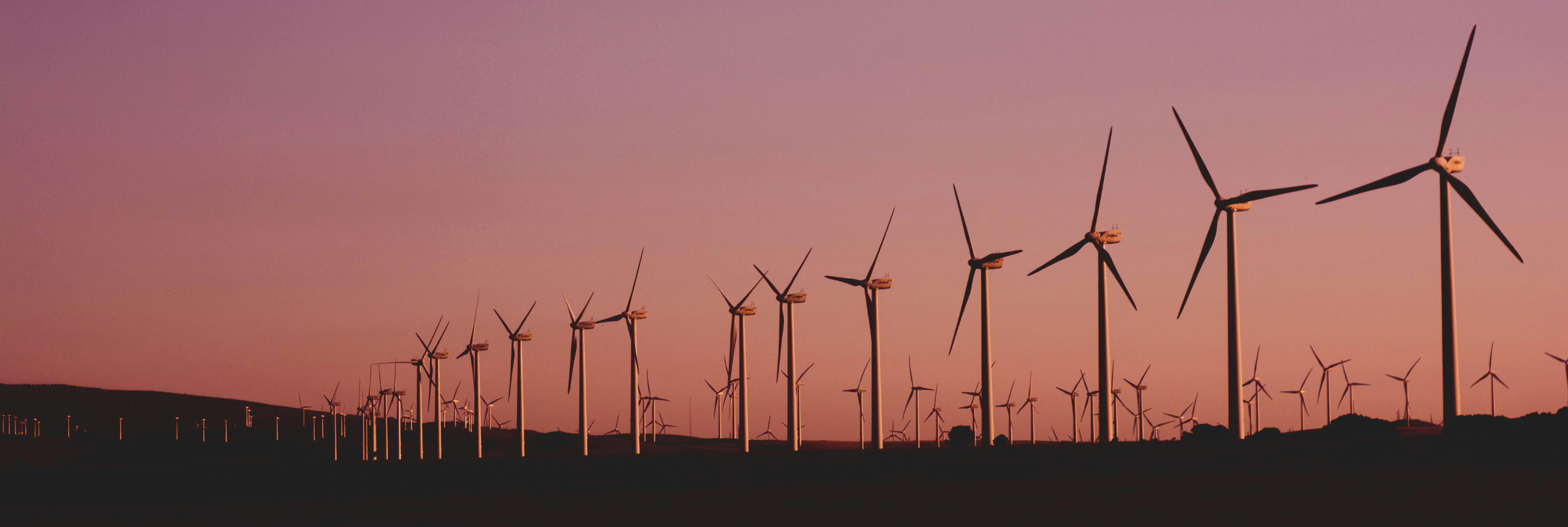 Row of wind turbines at sunset, 2