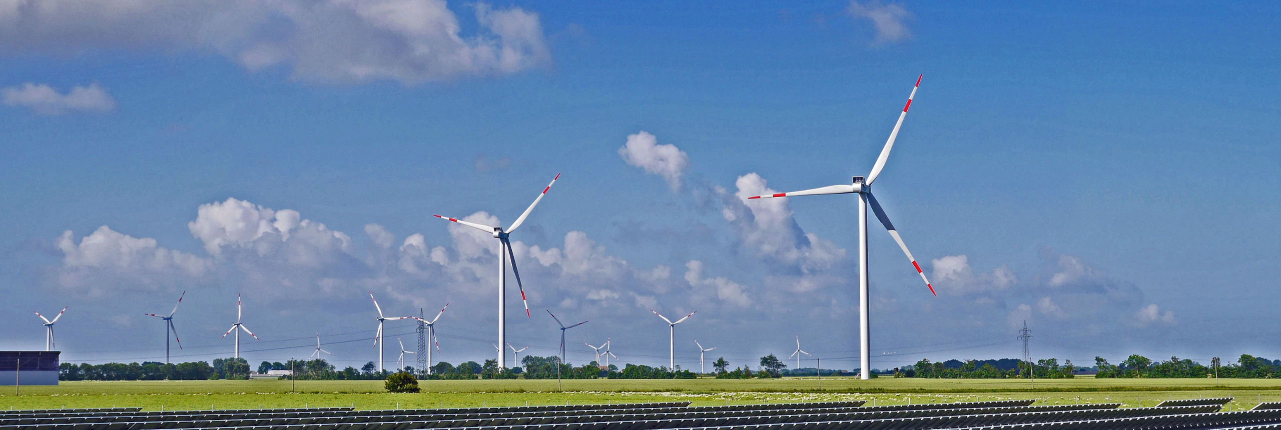 Wind turbines in the spring, 1