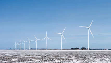 Field of wind turbines in the snow, 2