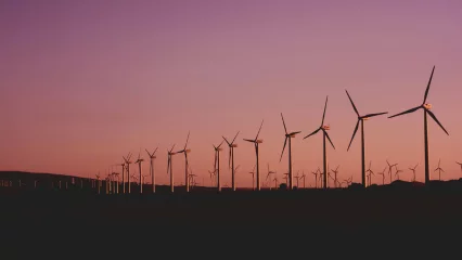 Row of wind turbines at sunset, 1