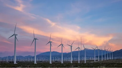 Service models for wind farm assets, 3