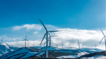 Wind turbines in snowy conditions with blade icing, 2