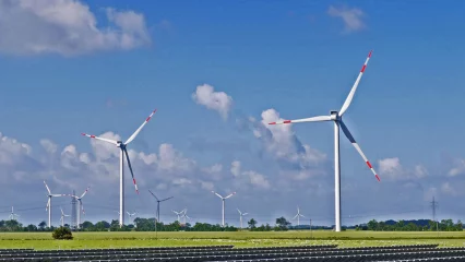 Wind turbines in the spring, 2